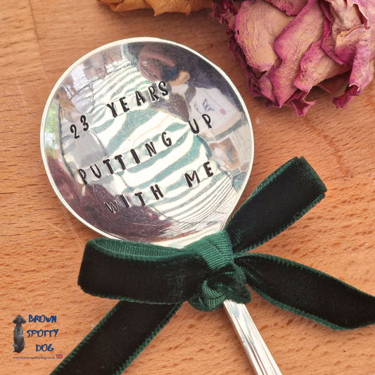 '23 years of putting up with me' Prosecco Spoon