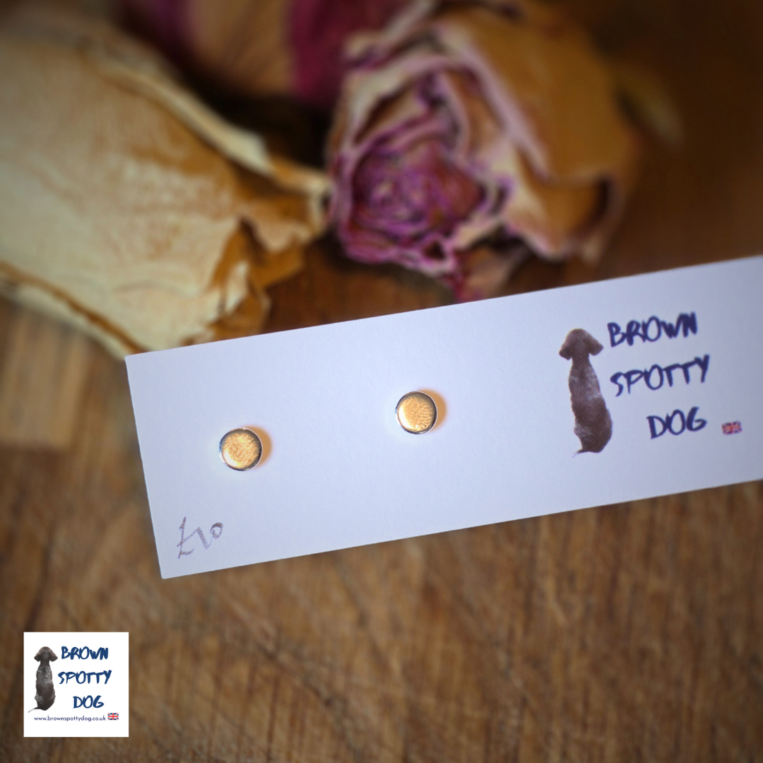 £10 Recycled Silver .925 Stud Earrings