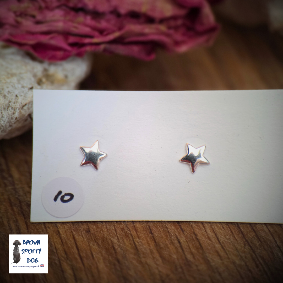 £10 Recycled Silver .925 Stud Earrings