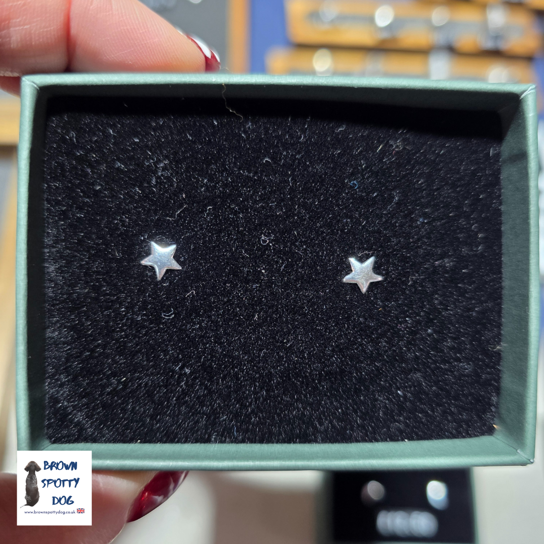 £12.50 Recycled Silver .925 Stud Earrings