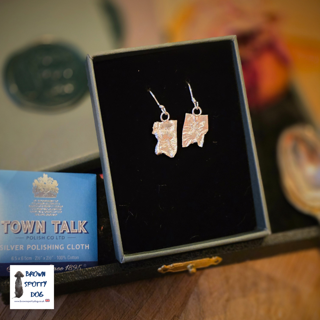 £35 Reticulated Silver Earrings