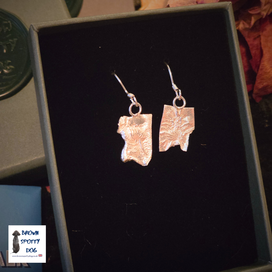 £35 Reticulated Silver Earrings